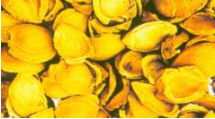 Apricot Activated Carbon