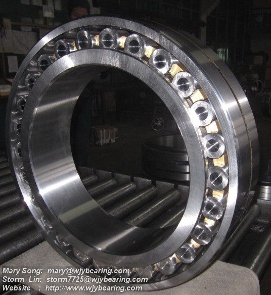 Single row or Double row Cylindrical Roller Bearing