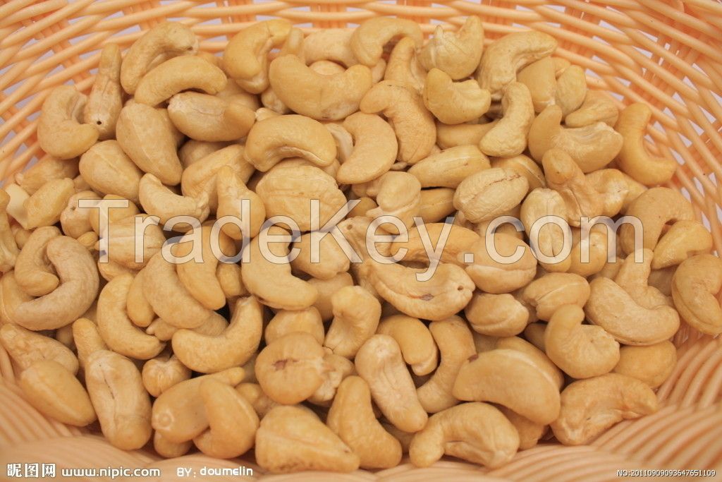 Cashew Nut