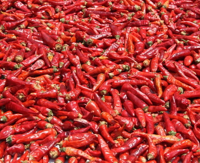 Dried Spicy Pepper/Hot Chilli From China