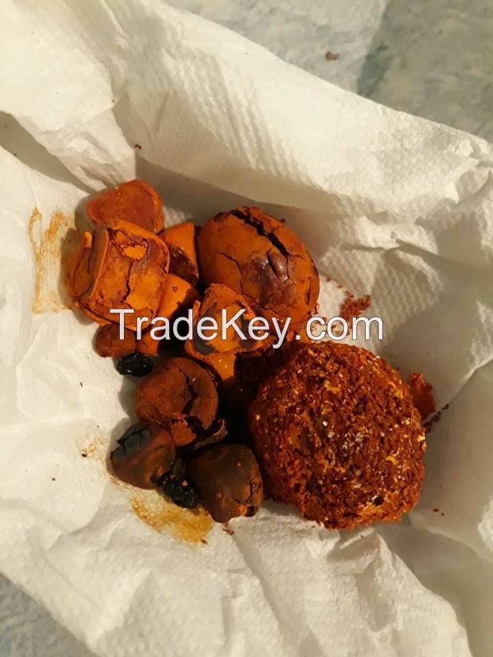 Quality cattle and ox gallstones for sell