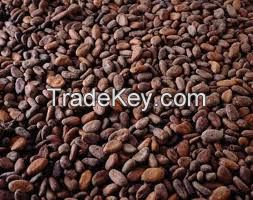 cocoa beans