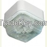 LED Canopy Light