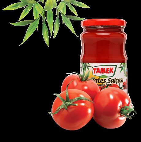 TAMEK Tomato Paste , Pepper Paste and Hot Pepper Paste