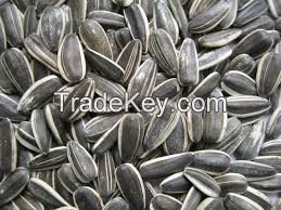 SUNFLOWER SEEDS