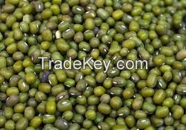 ORGANIC MUNG BEANS