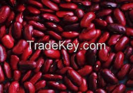 ORGANIC RED BEANS