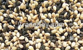 SESAME SEEDS/SUNFLOWER SEEDS