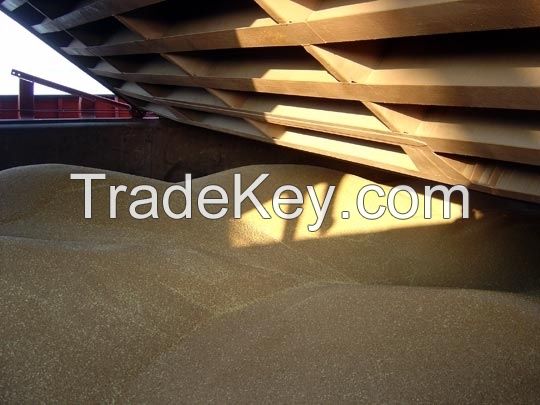 CATTLE FEED/HORSE FEED