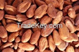 COCOA BEANS