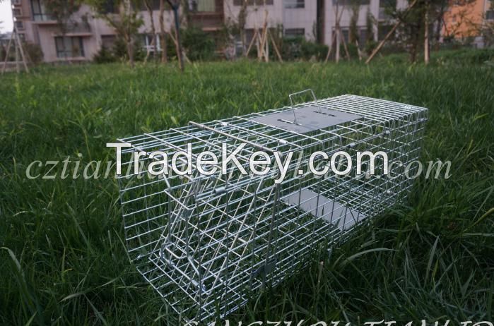 Collapsible Galvanized Trap Cage, Fox Trap Cage