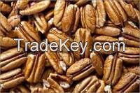 Pecan Nuts for sale