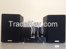 Vacuum Tube Amplifier with Speakers