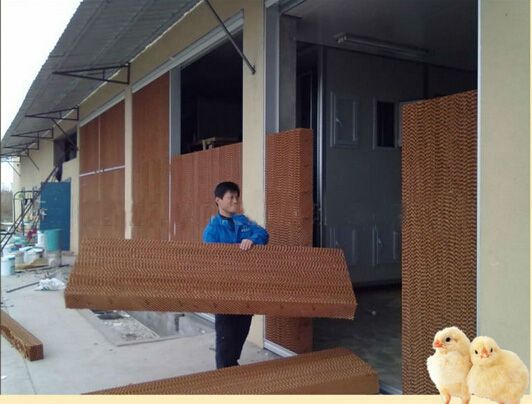 evaporative cooling pad in poultry chicken house