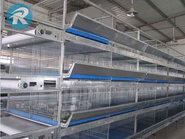 hot-dipped welded wire mesh chicken cages for poultry farming
