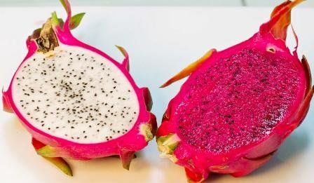 Sell Dragon Fruit