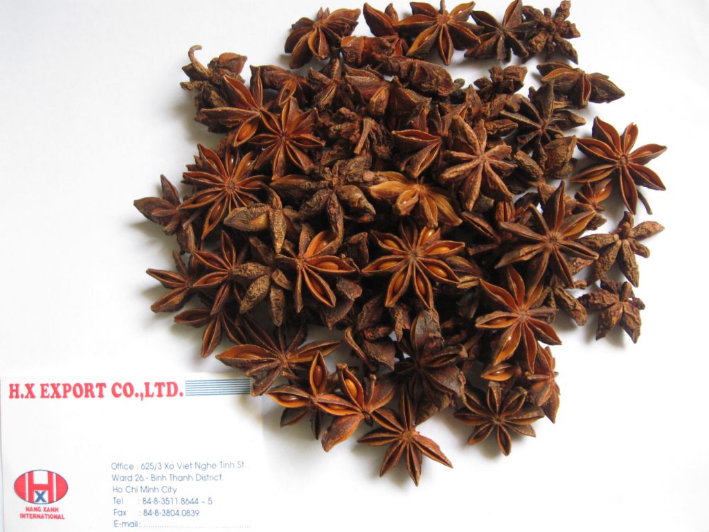 Sell Star Aniseed - Vietnam origin