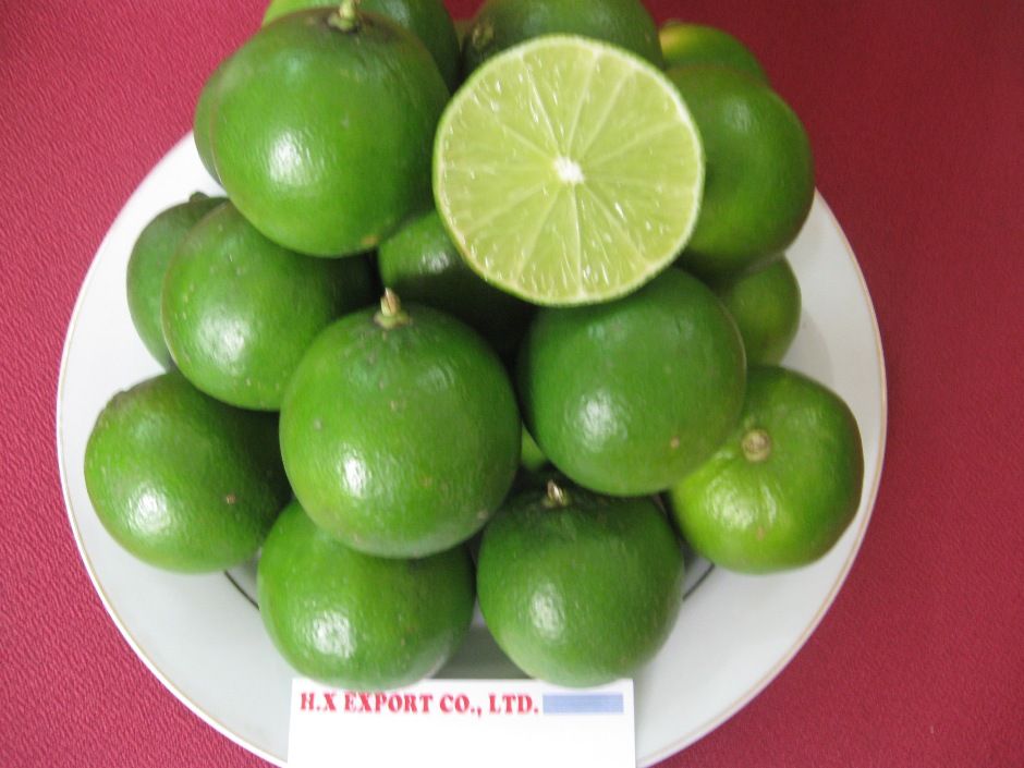 Sell Fresh lime - Lemon