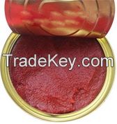 high quality tomato paste in drum