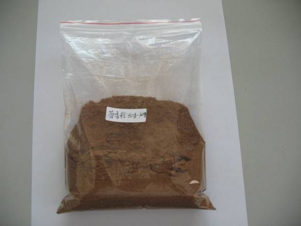 Fennel Powder  (LKBJ005)