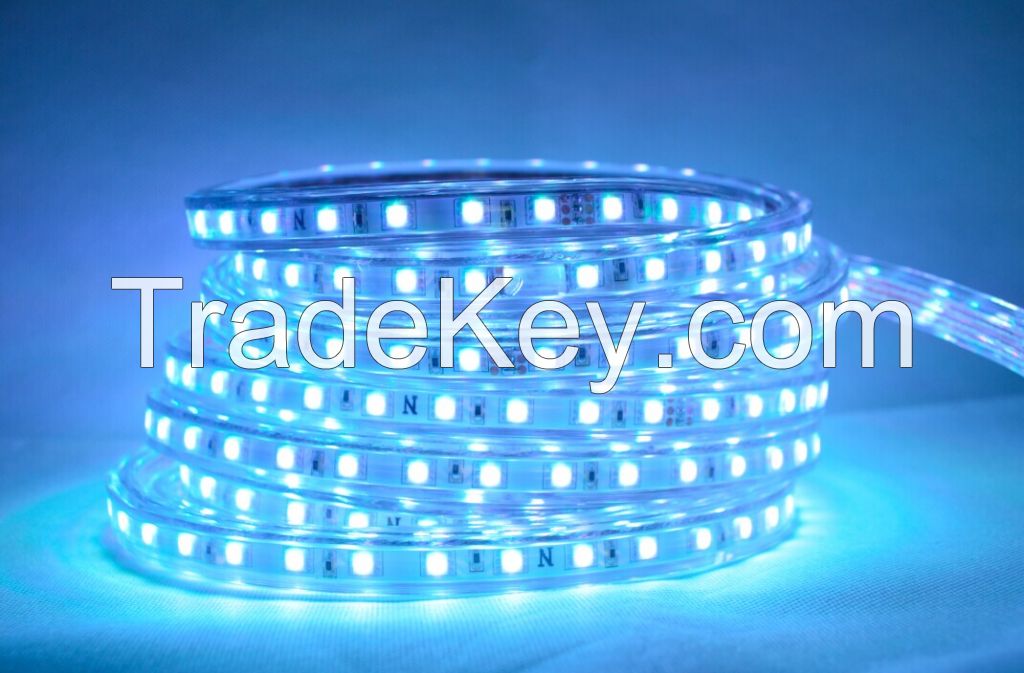 110V 220V LED flexible strip tape lights