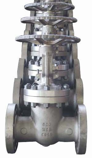 Flange End Gate Valves(2)