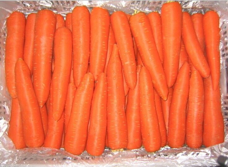 carrots