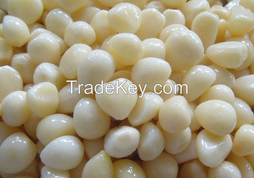 IQF Frozen Garlic with high quality