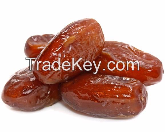 Dried Dates for sale