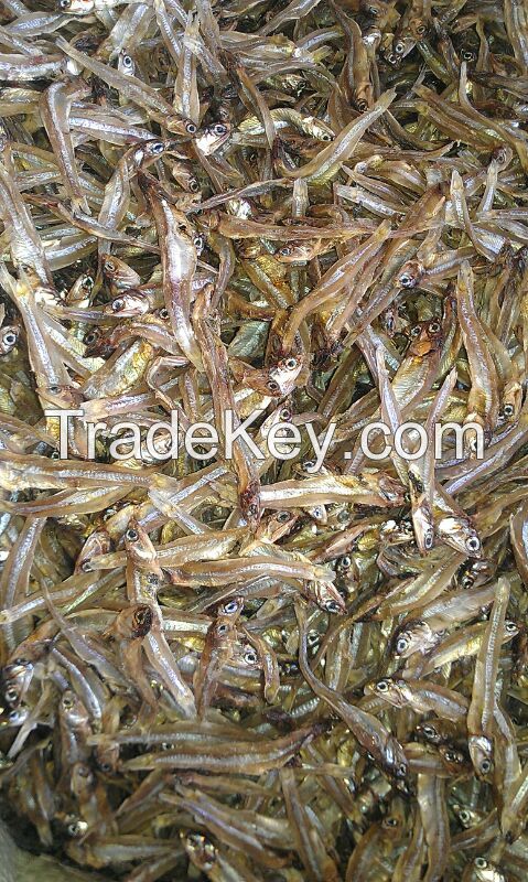 Dried Anchovy With The Best Price From Vietnam