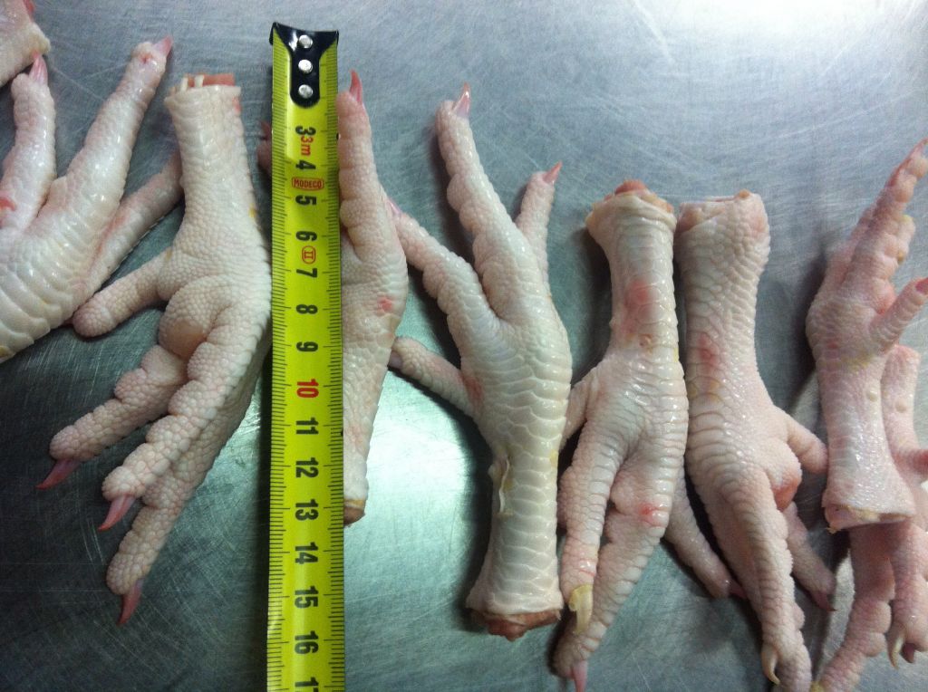 Frozen Chicken Feet