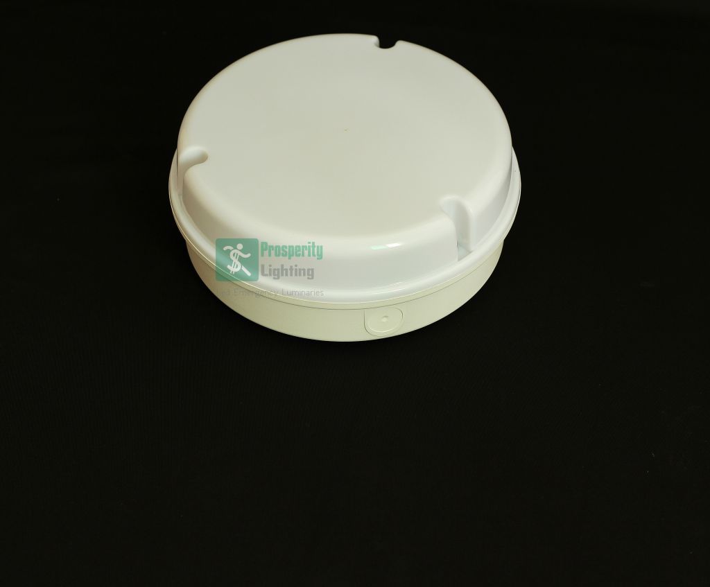 Emergency LED Ceiling Light