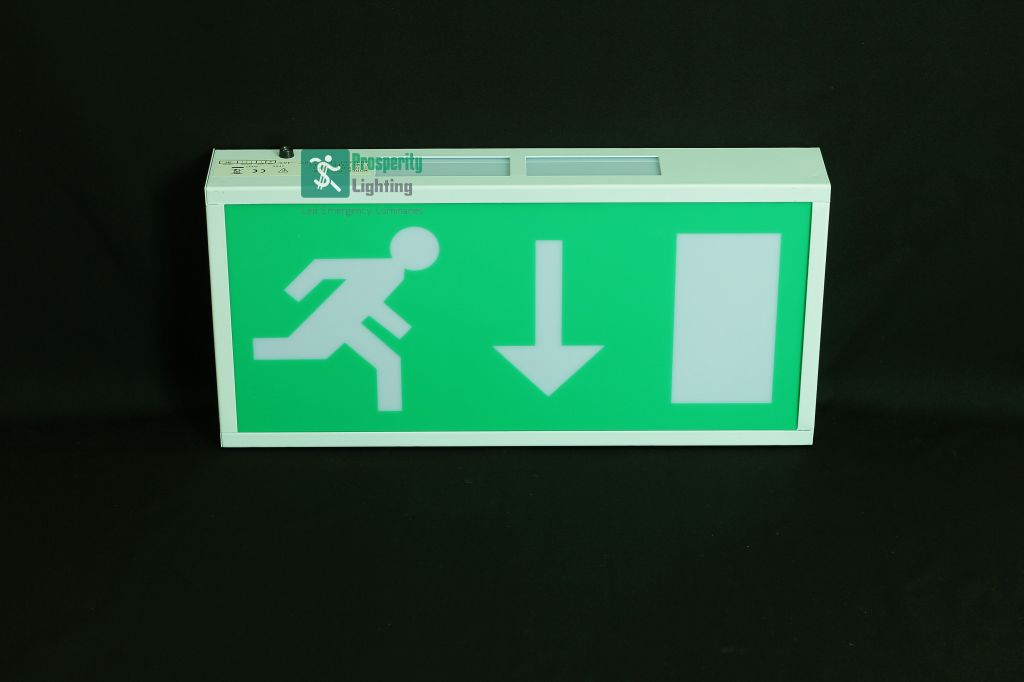 Emergency Exit Sign Light