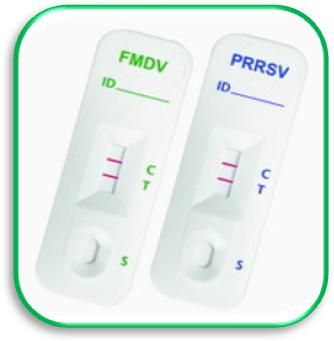 Mycotoxin rapid test strips and equipments, Mytoxin, Aflatoxin B1, M1, Melamine