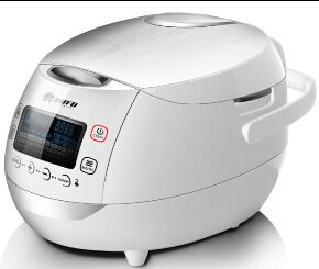 Voice assist LCD multi cooker