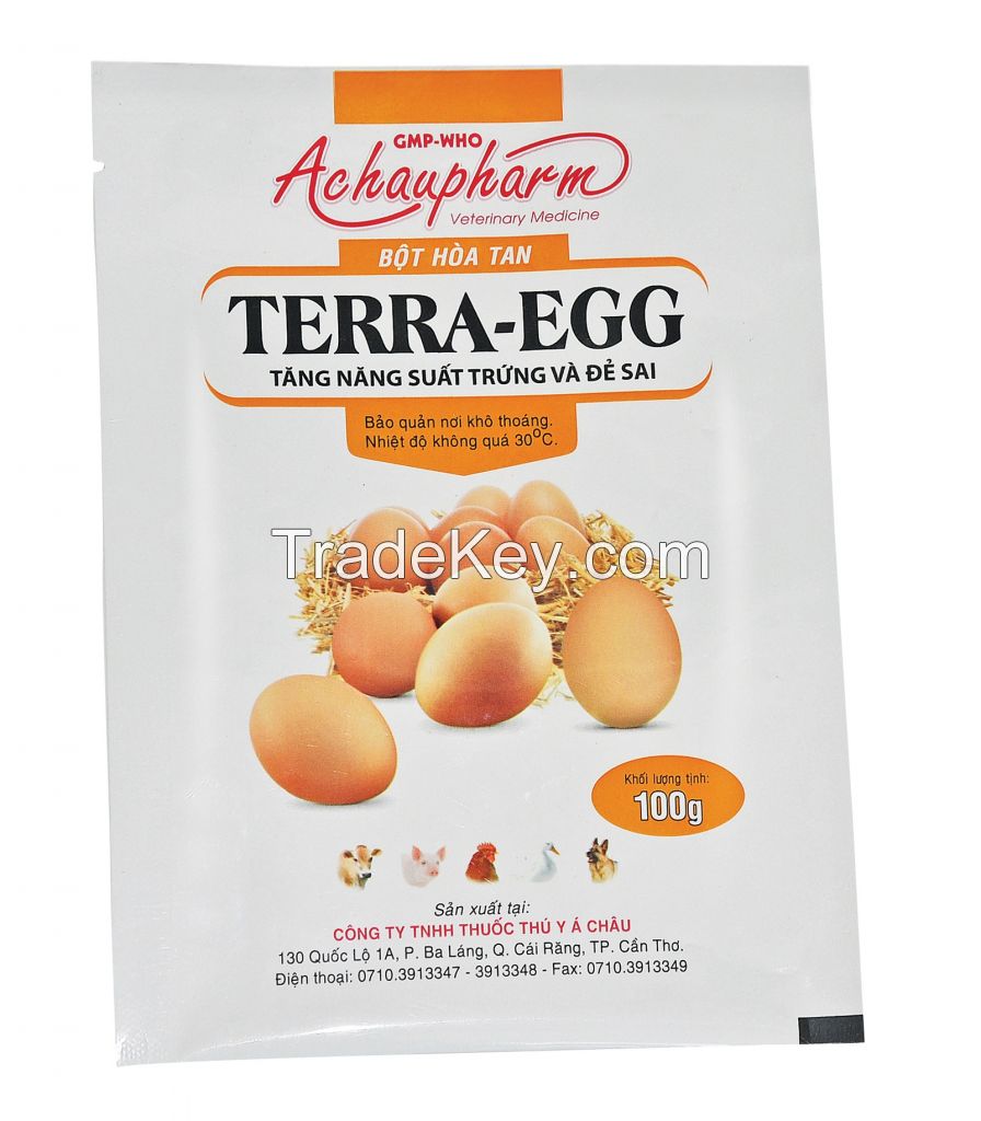 TERRA EGG