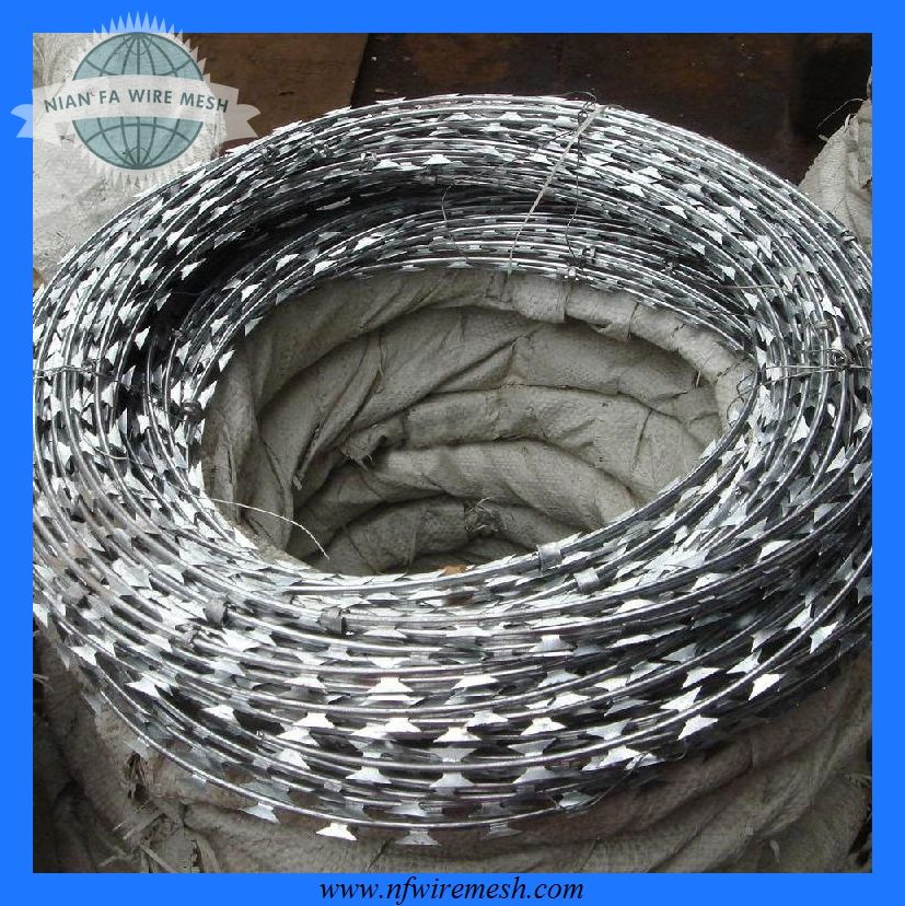 galvanized razor barbed wire