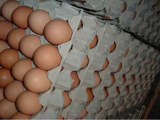 Bulk Brown and White Eggs Available From Turkey