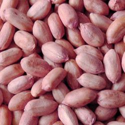 Bold Groundnut Kernels