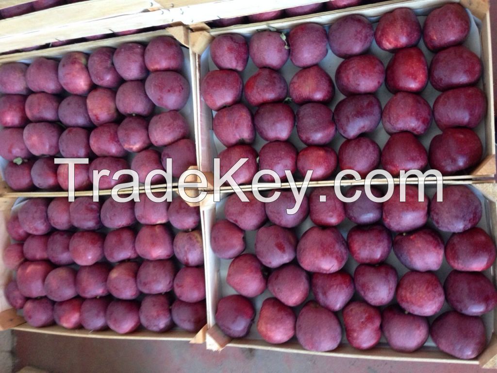 Fresh Apples from Macedonia region