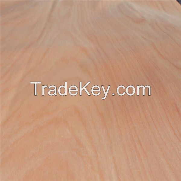 okoume wood face veneer for making plywood