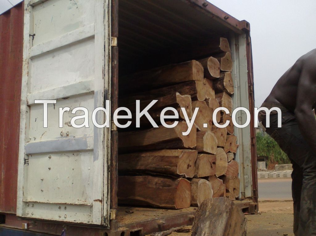 KOSSO Rosewood Square Logs For Sale