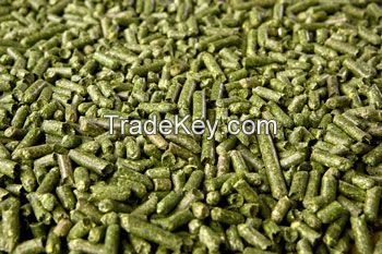 Alfalfa pellets (prot. 16-18%), 6mm (EU)