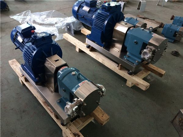 sanitary rotary lobe pump