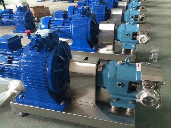 sanitary positive displacement pump