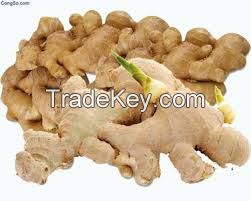 FRESH GINGER CHEAP PRICE