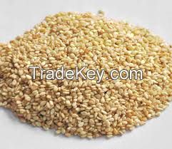 Sesame Seeds