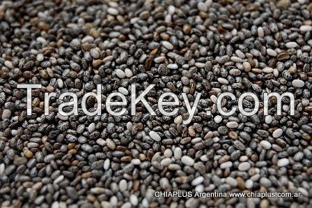 Natural Premium Chia Seeds from Argentina - Non -GM