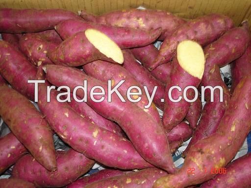 Purple sweet potato