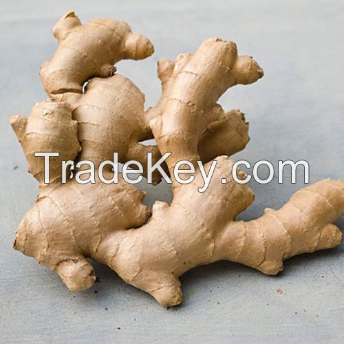 Vietnamese ginger supplied by Sapimex Vietnam